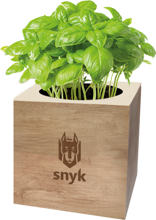 SNYK DESK TOP CUBE GARDENS